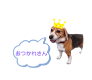841516002