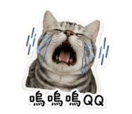 841517097