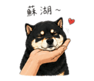 841517414