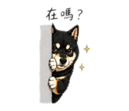 841517437
