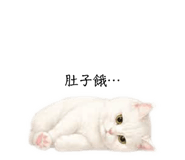 841517694
