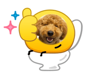 841518061
