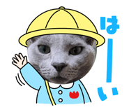 841518545