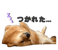 841518730