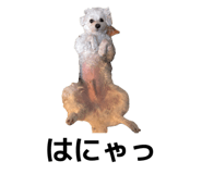 841518868