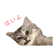 841518876