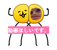 841519264