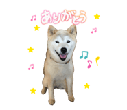 841519365