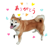 841519366