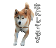 841519368