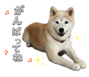 841519370