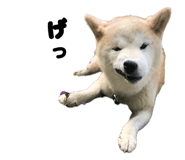 841519375