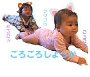 841519466
