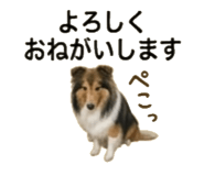 841521469