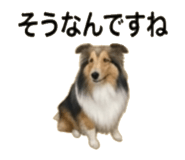 841521478