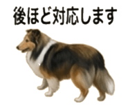841521488