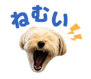 841525424