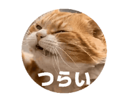 841525525