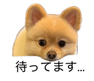 841525620