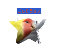 841526181