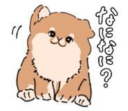 841526356