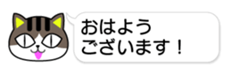 84152666
