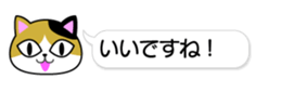 84152679