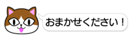 84152685
