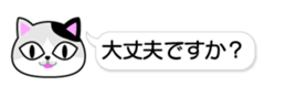84152687
