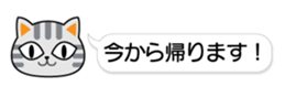 84152691