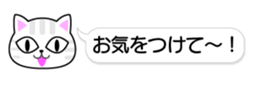 84152692