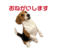 841528156
