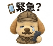 841528709