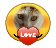 841528763