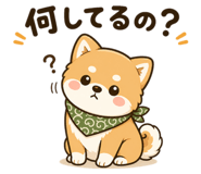 841528797