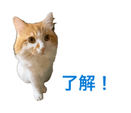 841529009