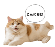 841529012