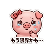 841529034
