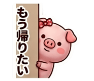 841529055