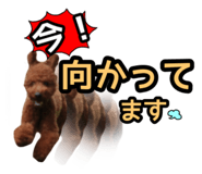841530237
