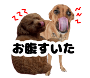 841530264