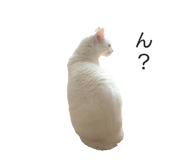 841530530