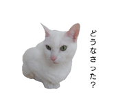 841530531
