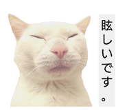 841530536