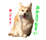 841531164