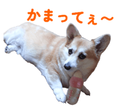 841531165