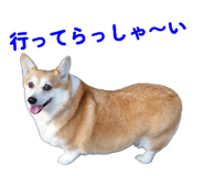 841531167