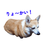 841531170