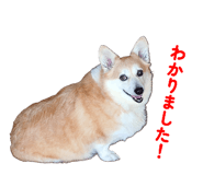 841531171