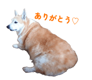 841531172